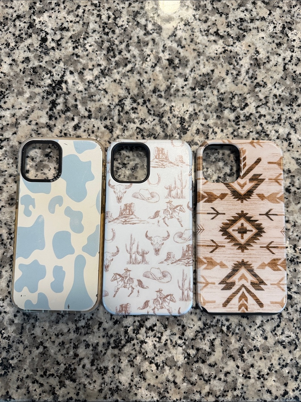 iPhone 12 western cases